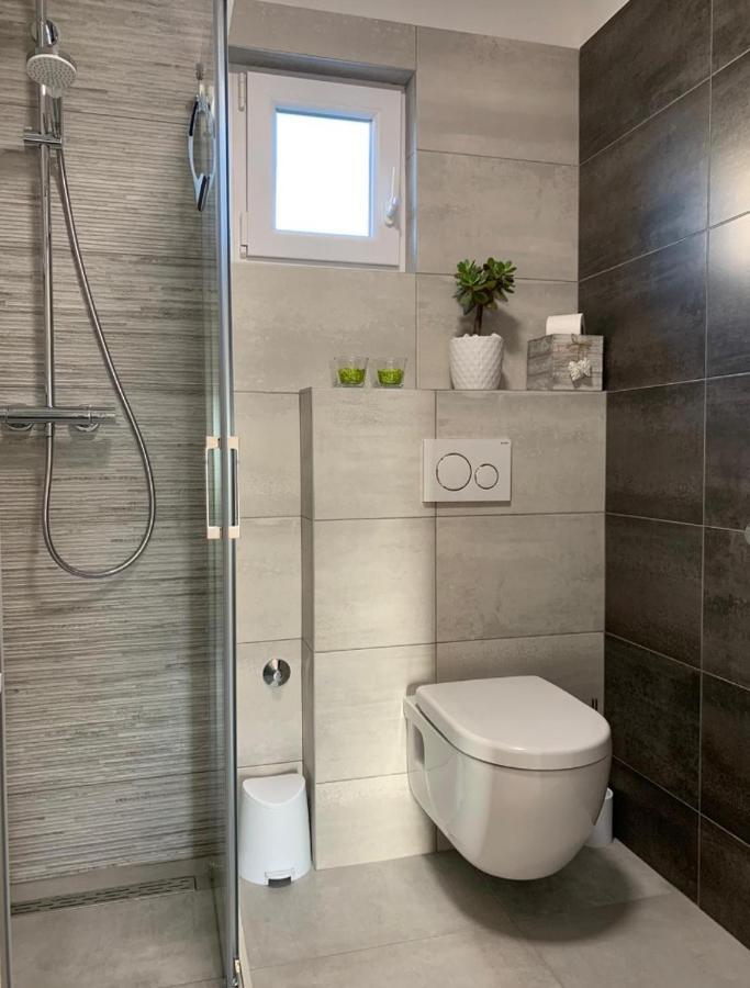 טרוגיר Apartment Salov מראה חיצוני תמונה